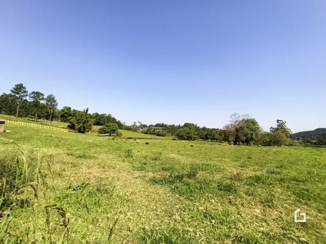 Campo gramado extenso sob um céu azul claro.