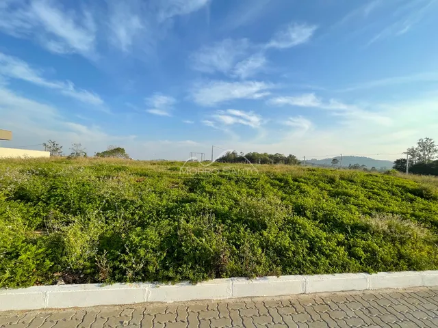 Terreno, foto 3