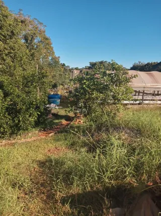 Área rural, foto 3