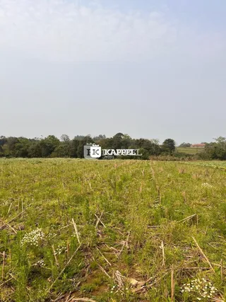 Campo aberto com grama alta e flores silvestres em Lajeado.