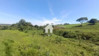 Paisagem de campo verde com árvores sob um céu azul.