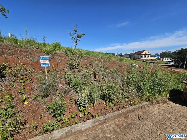 Terreno, foto 3