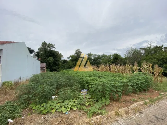 Terreno, foto 3