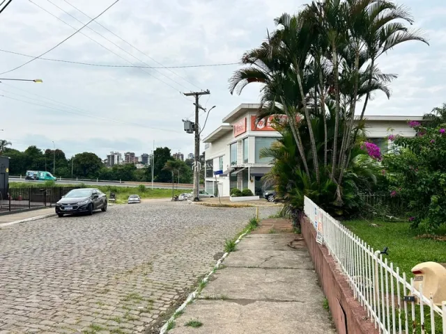 Terreno, foto 3