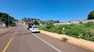 Vista de uma estrada em Lajeado, Brasil com vegetação ao lado.