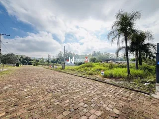 Terreno, foto 3