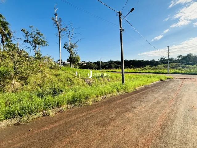 Paisagem de campo com grama verde e uma estrada no primeiro plano.