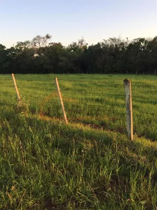 Área rural, foto 12