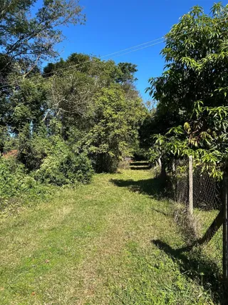 Área rural com 3 dormitórios, foto 4