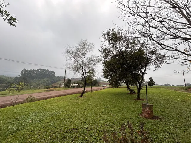 Vista externa de um campo gramado com árvores e uma estrada de terra.