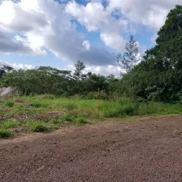 Vista externa de vegetação e terreno em uma área de Lajeado, Brasil.