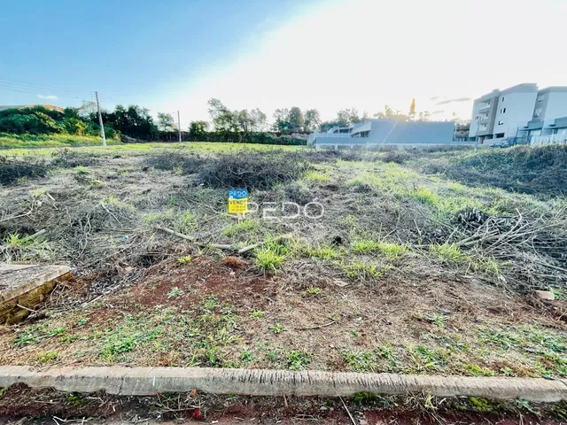 Terreno, foto 2