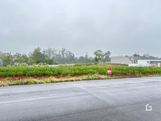 Vista da paisagem rural com vegetação e estrada em Lajeado.