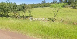 Terreno, foto 1