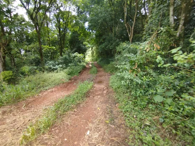 Área rural, foto 4