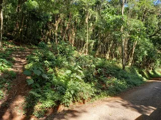 Área rural, foto 4
