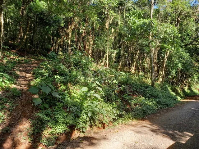 Área rural, foto 4