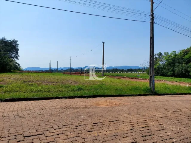 Terreno, foto 3