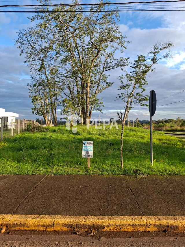 Terreno, foto 2