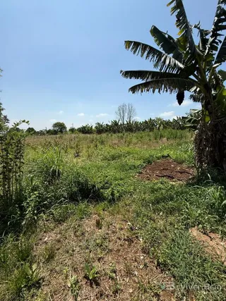 Área rural com 2 dormitórios, foto 6
