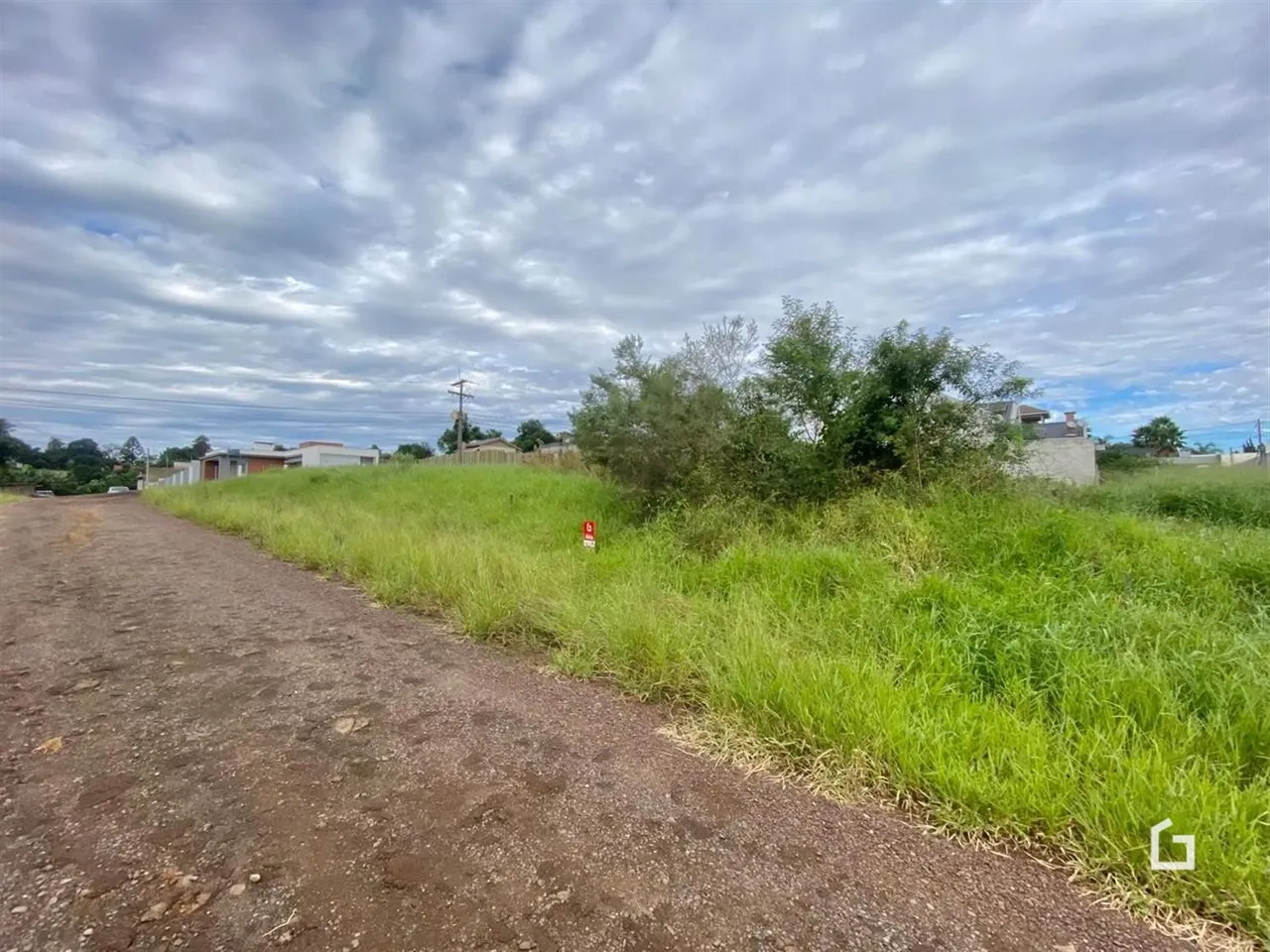 Vista da propriedade ao longo de uma estrada de terra com vegetação alta.