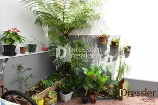 Ambiente interno decorado com muitas plantas verdes.