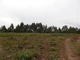 Terreno, foto 7