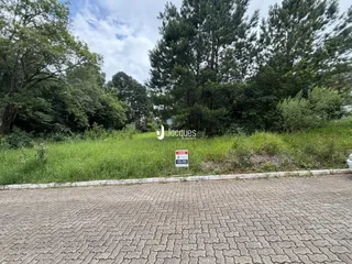 Vista externa de uma propriedade com vegetação densa e gramado alto.