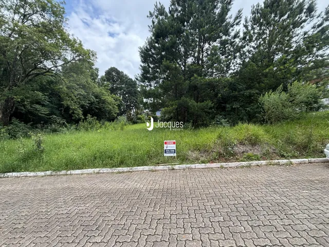 Vista externa de uma propriedade com vegetação densa e gramado alto.