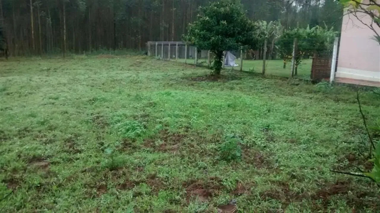 Terreno, foto 1