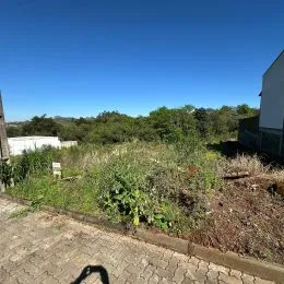 Vista externa de terreno com vegetação densa e caminho de terra.