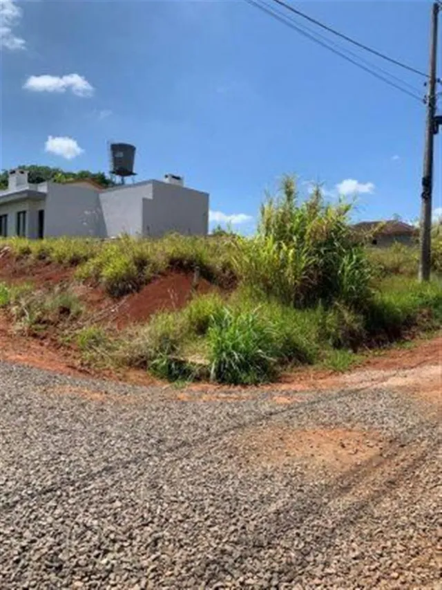 Vista externa de uma propriedade com vegetação densa e estrada de terra.