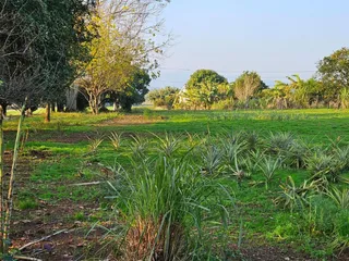 Área rural com 2 dormitórios, foto 13