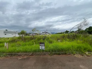 Vista externa de uma propriedade com vegetação alta e grama