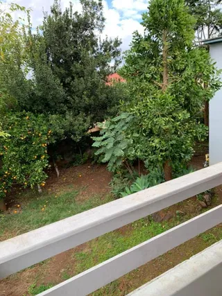 Casa com 3 dormitórios, foto 9