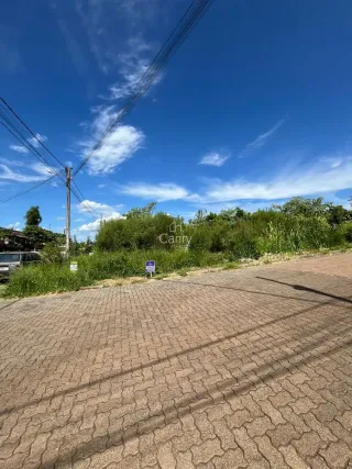 Terreno, foto 1