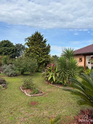 Paisagem externa com gramado e vegetação em uma propriedade.