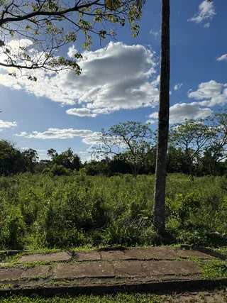 Terreno, foto 3