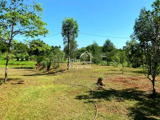 Área rural com 3 dormitórios, foto 13