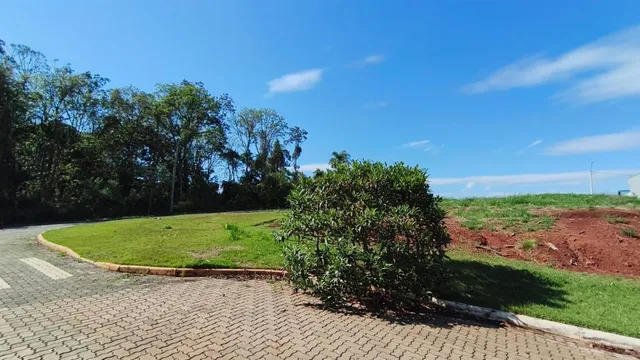 Terreno, foto 3