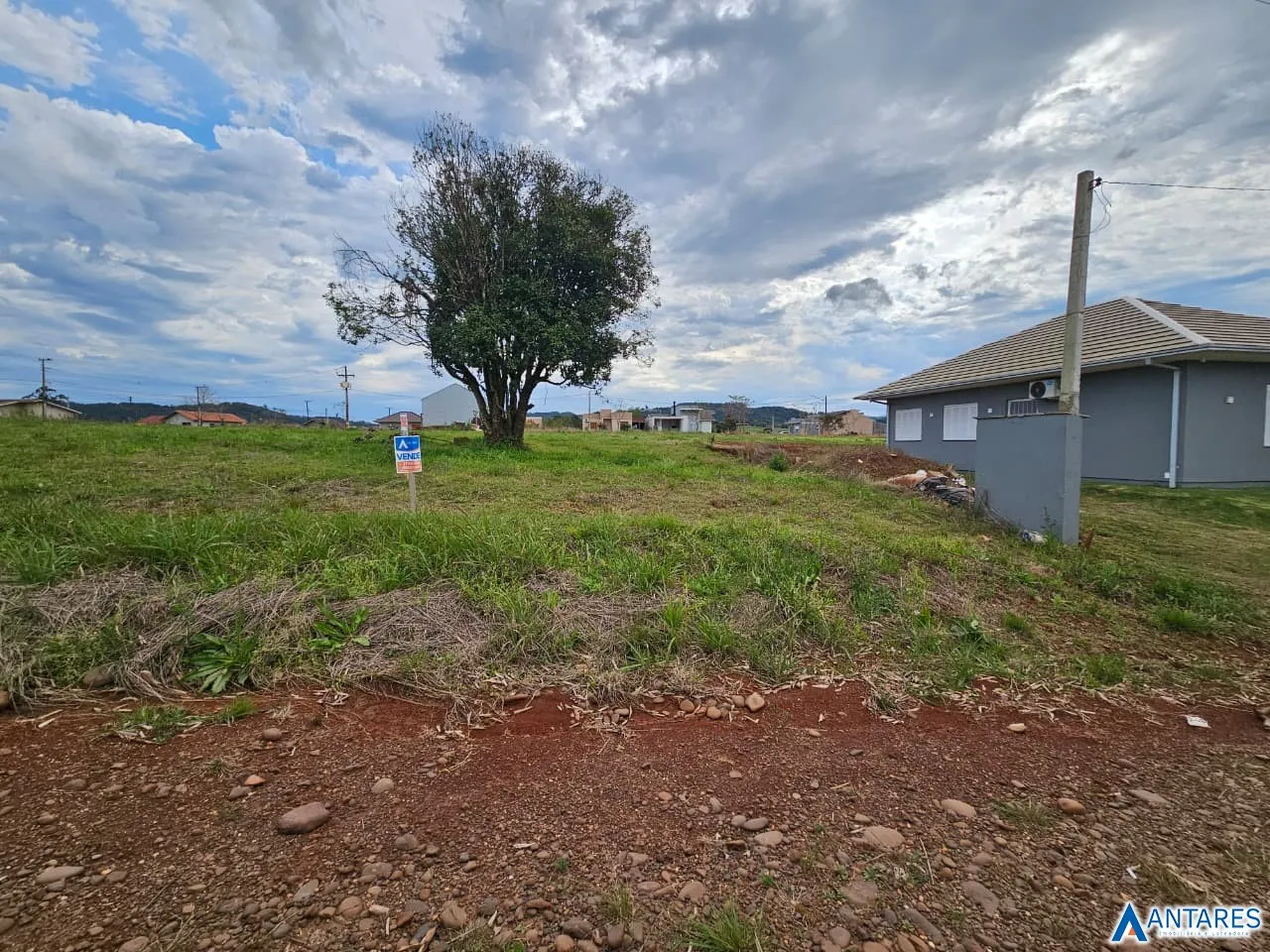 Terreno, foto 1