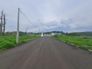 Vista de uma rua rural com vegetação ao redor