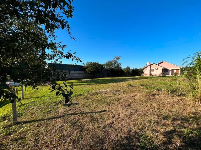 Terreno, foto 5