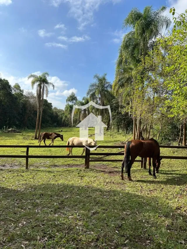 Foto de um campo verde com cercas e cavalos.