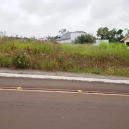 Vista externa de uma área gramada ao lado de uma estrada.