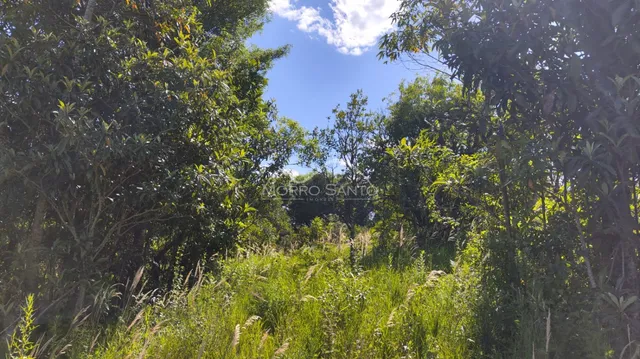 Área rural, foto 5