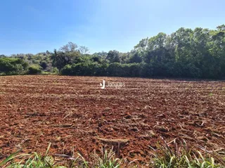 Campo de terra com vegetação densa ao fundo sob um céu azul.