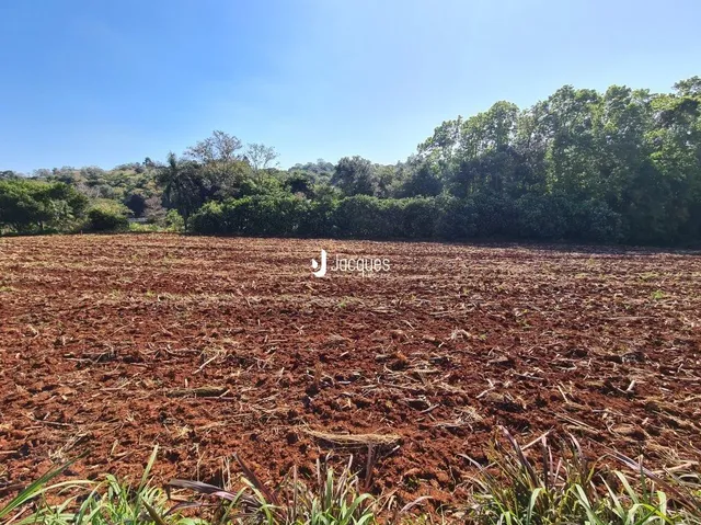 Campo de terra com vegetação densa ao fundo sob um céu azul.