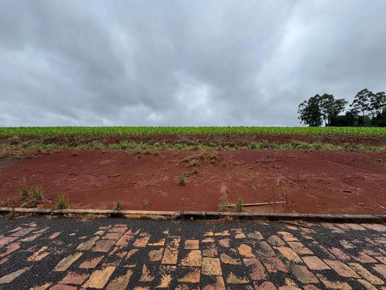 Terreno, foto 1