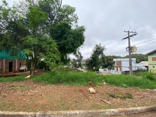 Terreno, foto 3